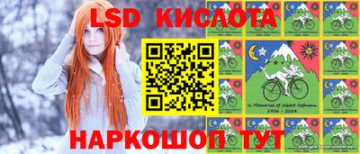 spice Кулебаки