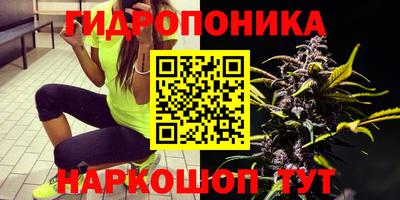 бошки Краснокаменск