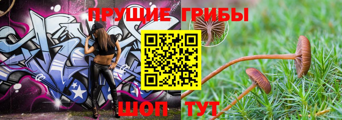 наркотики  Псилоцибиновые грибы Magic Shrooms  Вход с VPN  Изобильный 